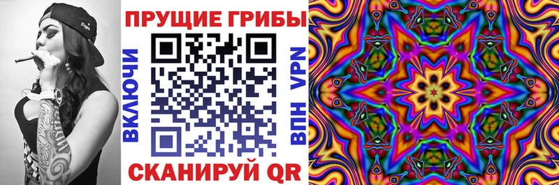 даркнет сайт  Верещагино  hydra ONION  Псилоцибиновые грибы мицелий 